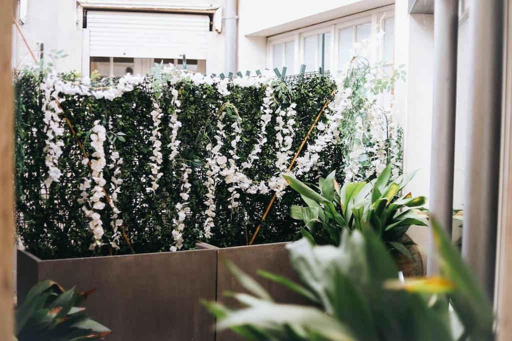 Cocon Au Coeur De Toulouse Apartment Ngoại thất bức ảnh